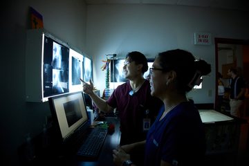 Two clinicians reviewing x-rays
